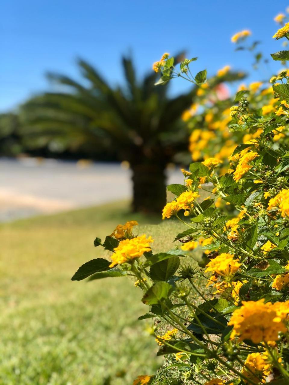 Reserva Praia Hotel Balneário Camboriú Eksteriør billede